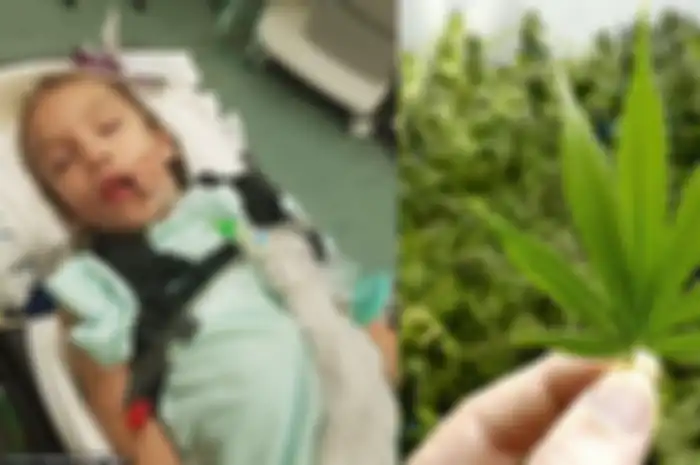 Sungguh malang nasib gadis 9 tahun ini dimana ia menderita penyakit mengerikan yang disebut dengan epilepsi Lennox Gastaut Syndrome.