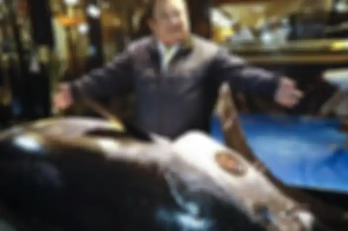 Rekor tersebut diraih lewat lelang seekor tuna raksasa seberat 278 kilogram, yang ditangkap di lepas pantai utara Jepang.