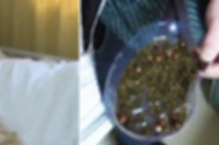  Sebuah kondisi medis mengerikan dialami oleh seorang wanita bermarga Wang, pola makan tidak teratur.
