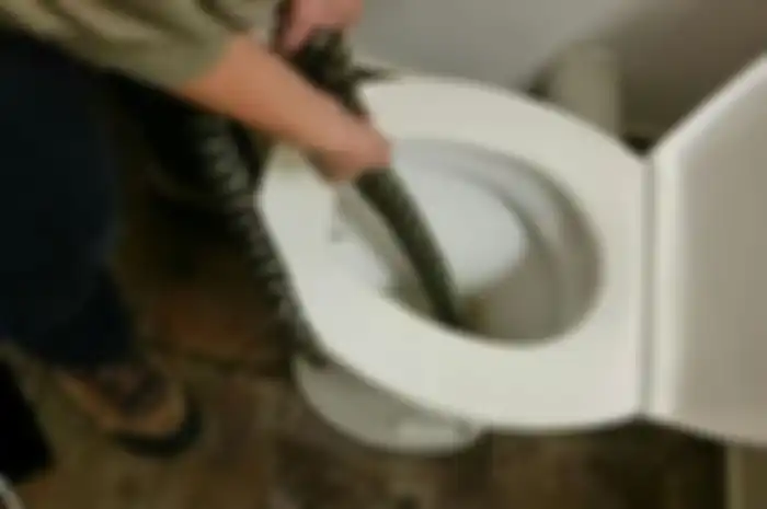  Seorang perempuan di Australia dikejutkan dengan gigitan seekor ular yang mendadak muncul dari dalam lubang toilet.