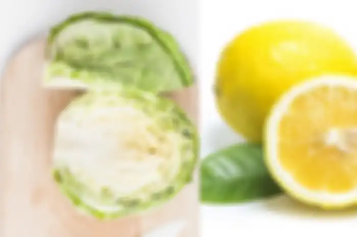 Jika Anda ingin tetap sehat, Anda pun tetap harus mulai makan sehat. Hal ini bisa dimulai dengan mengonsumsi minuman buatan sendiri yang sehat.