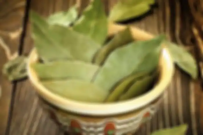 Selain sebagai bumbu dapur, ternyata air rebusan daun salam juga bermanfaat untuk kesehatan lho. Ini dia manfaatnya.