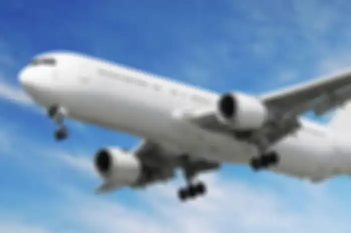 Profesor Ravi Allada dari Universitas Northwestern, Amerika Serikat mengungkap kalau jet lag bisa jadi salah satu pertahanan tubuh untuk menjaga kerja otak.