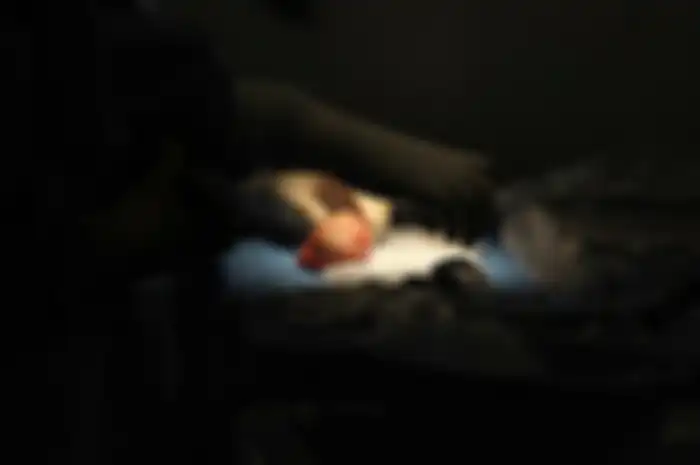 Pasangan ayah dan anak asal Chicago, Illinois, ditahan pihak berwenang setelah dituduh menjual organ tubuh yang mengandung penyakit di pasar gelap.