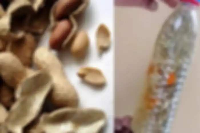 tahukah Anda bahwa sebenarnya kulit kacang adalah harta berharga yang sebaiknya tidak Anda buang, karena masih bisa dimanfaatkan.