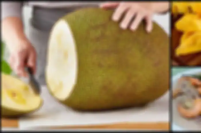 Nangka (Artocarpus heterophyllus) adalah buah besar dan eksotis yang ditemukan di negara-negara tropis seperti Indonesia.