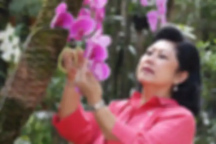 Ani Yudhoyono dan 7 publik figur lain meninggal dunia setelah berjuang melawan kanker, diduga ini penyebabnya.