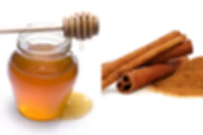 Campuran kedua bahan alami yaitu madu dan kayu manis ini juga bisa mengatasi masalah kesehatan. Yuk, dicoba.