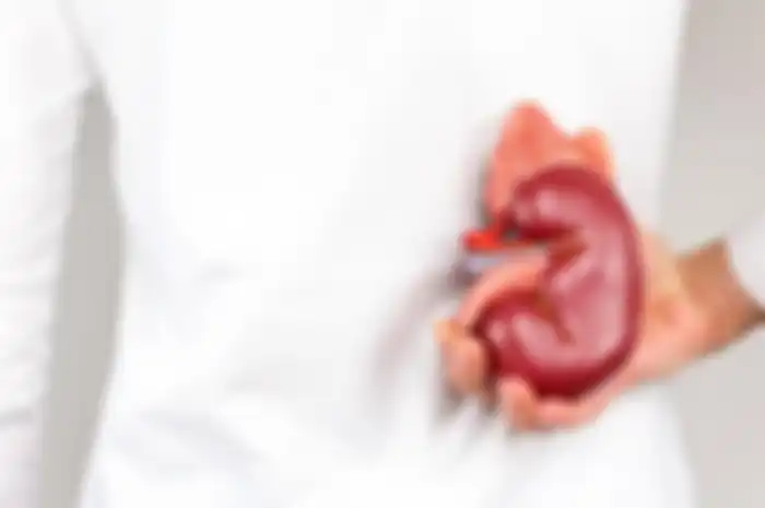 Jual beli ginjal dan organ tubuh apapun tidak dibenarkan dan dilarang keras. Bagaimana aturannya di Indonesia?