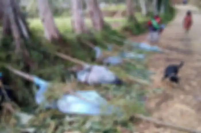 Bahkan hingga saat ini pembunuhan itu masih menyimpan misteri dan tidak diketahui, mengapa serangan tersebut dilakukan.