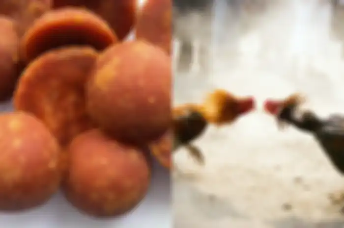 Karena alternatif gula ini menjadi ramah lingkungan, bahkan PBB menganggapnya sebagai pemanis paling berkelanjutan di dunia.