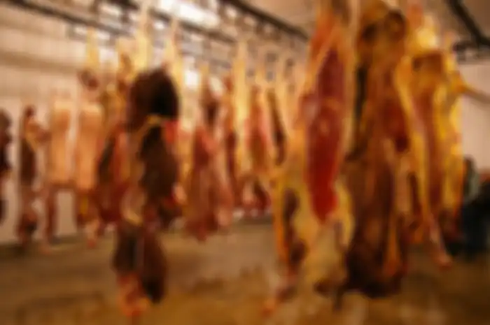 Ilustrasi daging sapi.