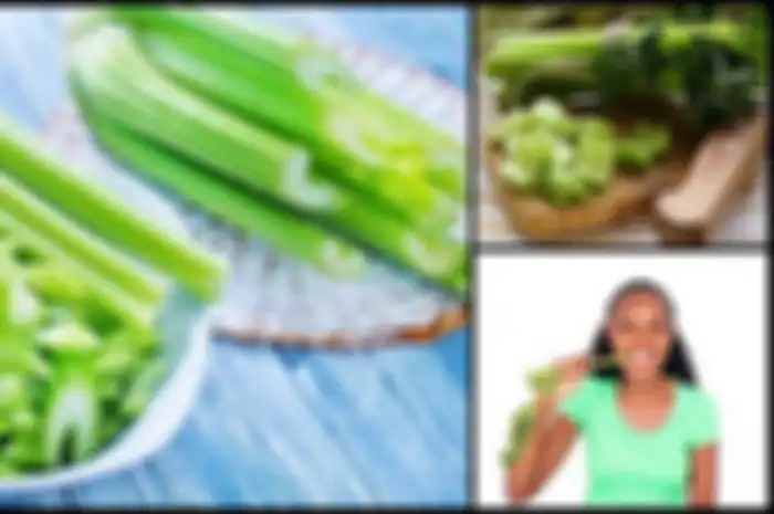 Seledri mengandung vitamin dan mineral penting seperti vitamin C, K, dan B6.
Ini baik bagi kesehatan karena sumber dari enzim dan antioksidan.