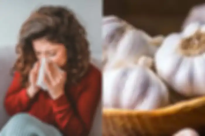 Ternyata, manfaat bawang putih tidak hanya untuk menambah aroma dan cita rasa pada masakan, tetapi juga pada kesehatan.