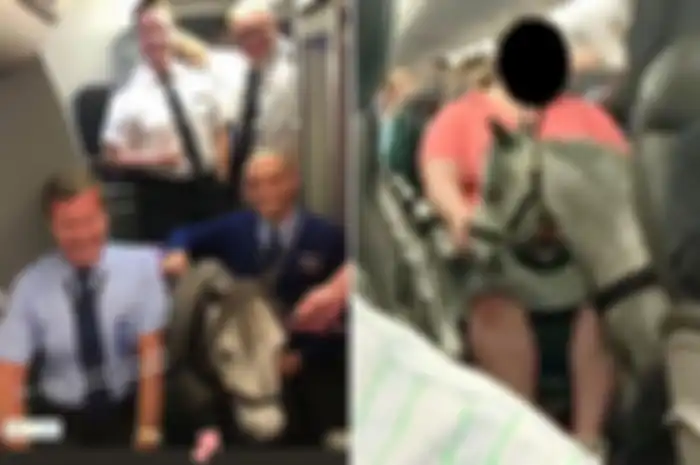 Orang-orang di bandara dan penumpang di pesawat dalam sebuah penerbangan dikejutkan dengan adanya seekor kuda mini yang ikut dalam perjalanan.