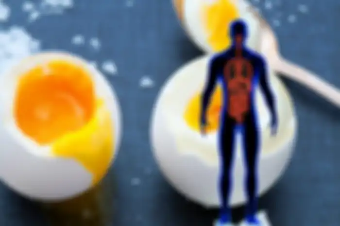 Telur adalah sumber mineral dan vitamin esensial yang baik dan juga mengandung asam amino tingkat tinggi yang kita gunakan untuk membangun massa otot.