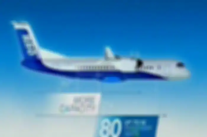 April 2015, Habibie memperkenalkan rancangan pesawat baru yang digarap oleh Regio Aviasi Industri. Pesawat itu dinamakan R80.