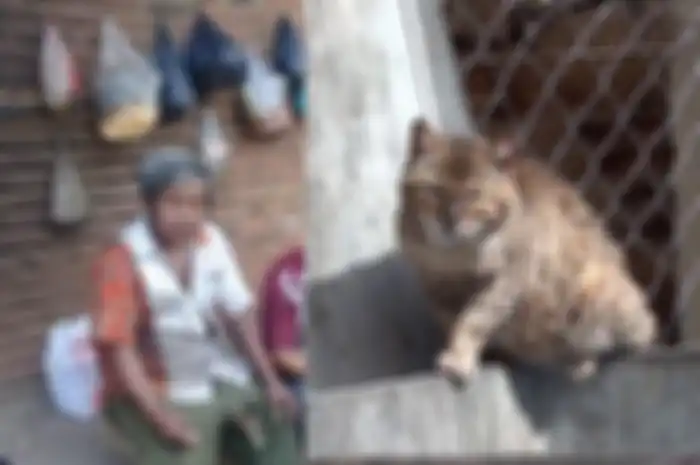 Ketua RT 02, Kelurahan Kelapa Tujuh, Suyatno mengaku tak tahu persis kapan kedua warganya itu menangkap dan memasak kucing.
