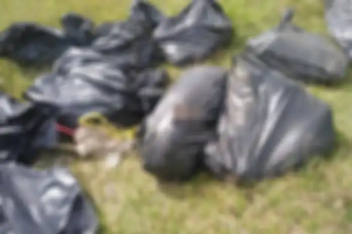 Karena curiga dengan temuan itu penduduk desa kemudian melakukan penyelidikan untuk mengungkap apa isi kantong plastik tersebut.