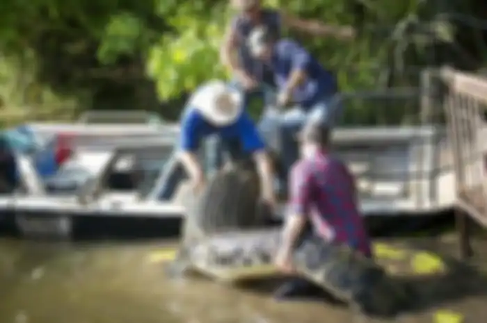Selain bertemu reptil Matt juga berhadapan dengan beruang, serigala, gajah, badak, laba-laba, kerbau liar, dan beruang kutub.