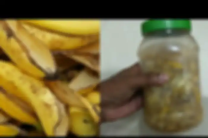 Kulit, pisang juga bisa Anda manfaatkan dengan cara mengolahnya terlebih dahulu sebelum menggunakannya.