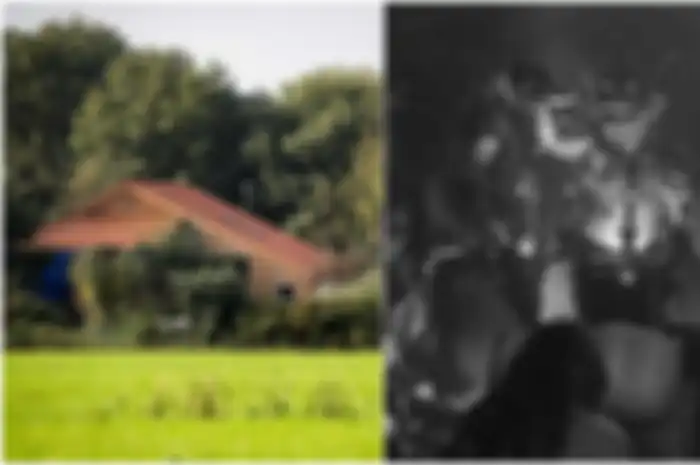 Konon, polisi menemukan papan besar itu juga menemukan gambar misterius dan angka yang ditulis dengan tinta hitam