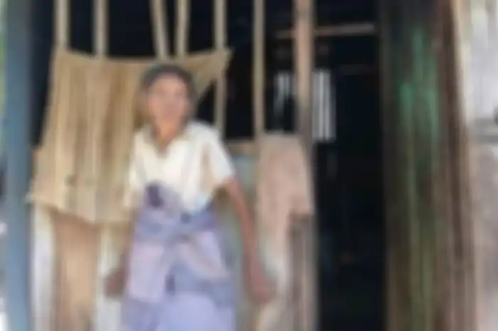 Nenek Luspina Sana (78), warga Kelurahan Wolomarang, Kecamatan Alok Barat, Kabupaten Sikka, Flores, NTT, hidup di gubuk reyot tanpa listrik.