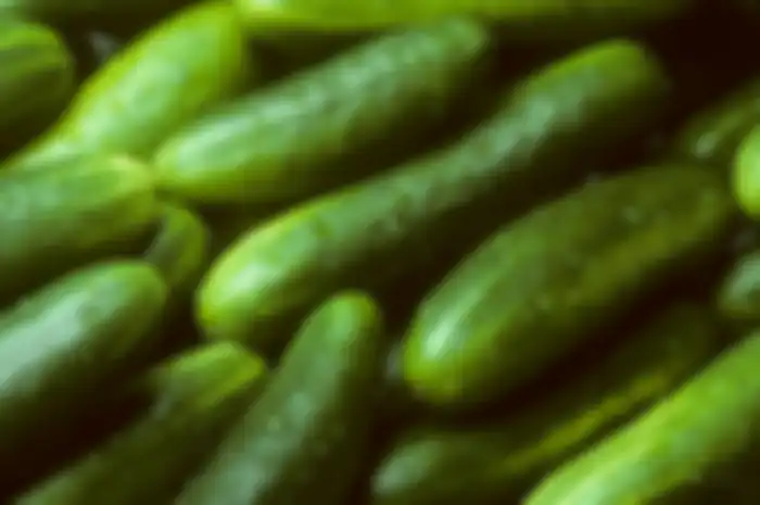 Manfaat timun.