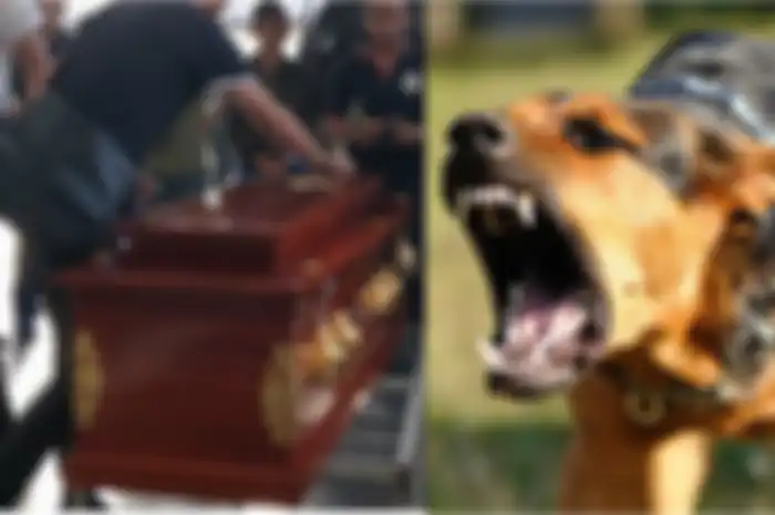 Investigasi awal mengungkapkan bahwa anak itu meninggal karena diduga rabies meski penyebab kematian sebenarnya belum terkonfirmasi.