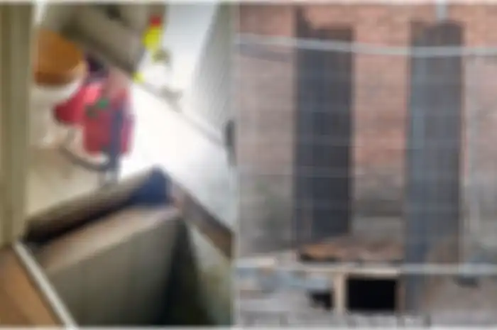 Polisi menemukan terowongan setelah tetangga melaporkan upaya pembobolan di rumah di Deptford, London tenggara.