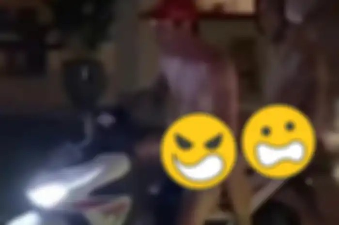 Menurut laporan, salah satu turis itu dikenal dengan nama Raymond RB (23) memposting video di halaman instagramnya.
