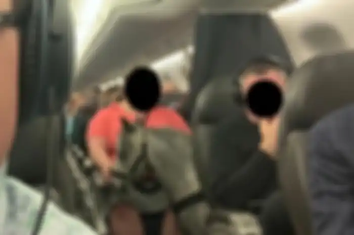 Beberapa penumpang pesawat bisa menjadi mimpi buruk untuk berbagi perjalanan. Bagaimana dengan yang satu ini?