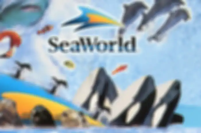 Arena rekreasi air SeaWorld di Amerika Serikat untuk sementara waktu merumahkan lebih dari 90% karyawannya.