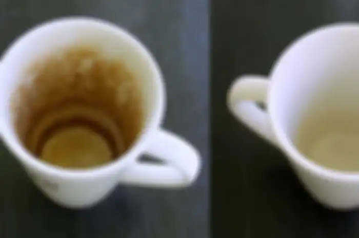 Menghilangkan noda kopi atau teh di cangkir kesayangan.