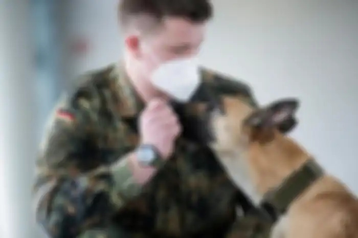 Jerman gunakan anjing pelacak untuk mendeteksi Covid-19.