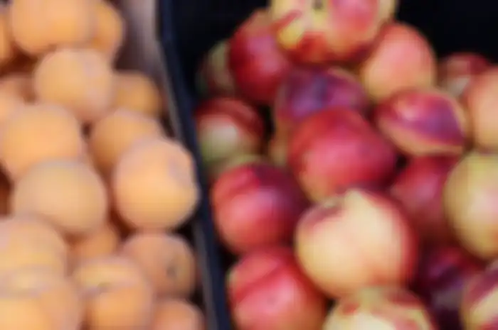 Daging buah peach berwarna jingga kekuningan dan memiliki kandungan yang sangat baik untuk kesehatan tubuh.