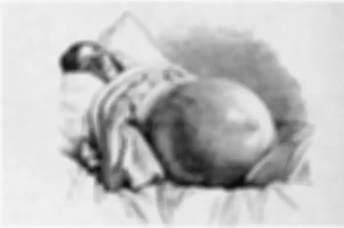 (Ilustrasi) Jane Todd Crawford