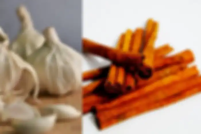 Manfaat bawang putih dan kayu manis.