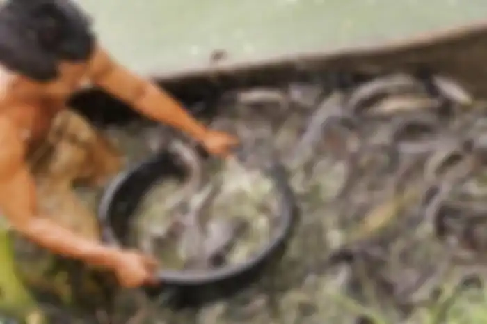 Benarkah arti mimpi menangkap ikan melulu terkait dengan sesuatu yang sifatnya positif. Atau jangan-jangan ada hal negatif di baliknya?