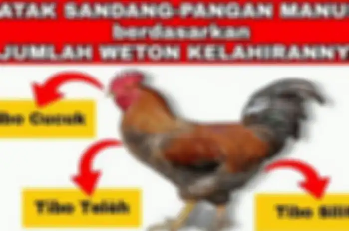Ada 12 weton dengan watak tibo cucuk. Weton tibo cucuk sendiri artinya gampang mencari sandang pangan dan rezeki.