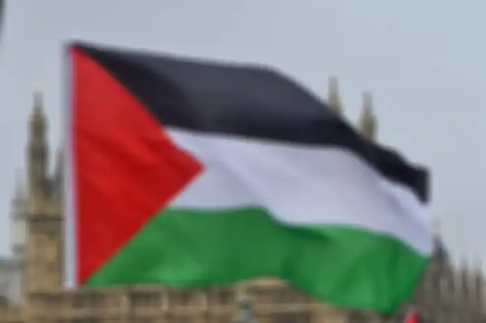 Ilustrasi - Bagaimana sejarah pembagian wilayah Israel dan Palestina.