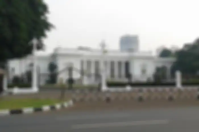 Feng shui Istana Negara auranya positif. Disebut cocok dengan Indonesia yang lahir pada 17 Agustus 1945 pukul 10.00 WIB yang berunsur tanah.