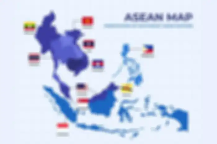 Pada tahun 1992 didirikan suatu organisasi yang bertujuan untuk meningkatkan daya saing ekonomi yang ada di kawasan regional ASEAN. Organisasi ini didirikan di Singapura ketika berlangsungnya KTT ASEAN yang ke-4. Organisasi yang dimaksud adalah ASEAN Free Trade Area atau AFTA.