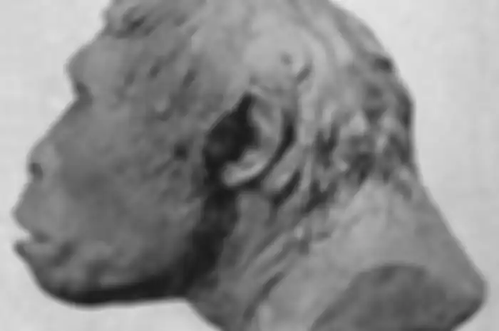 Eugene Dubois menemukan Pithecanthropus erectus di Trinil, Pulau Jawa, ternyata berawal dari rasa penasarannya tentang 'the missing link' yang dicetuskan oleh Charles Darwin (Wikipedia)