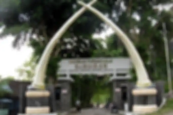 Museum Sangiran, Menyusuri Jejak Manusia Purba