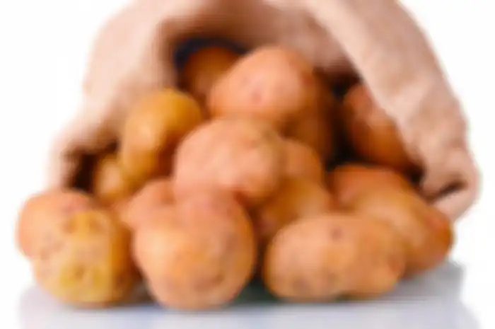 4 Jenis Makanan Mematikan