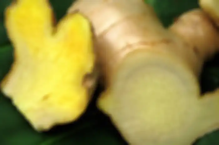 Obat Dari Dunia Rempah-rempah