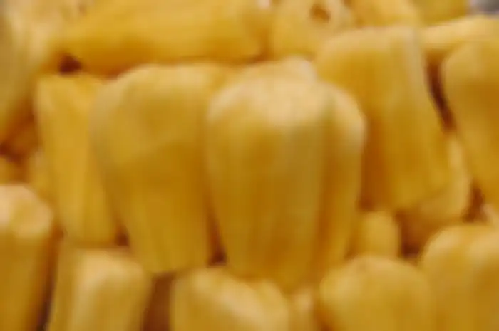 Manfaat Kesehatan Nangka
