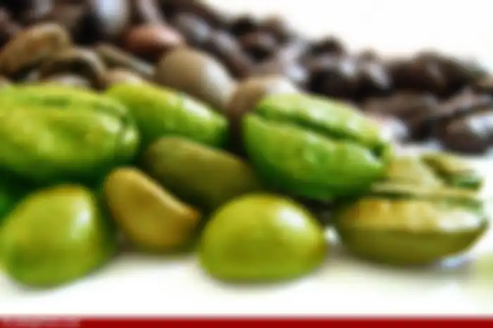 Langsing Alami dengan Kopi Hijau