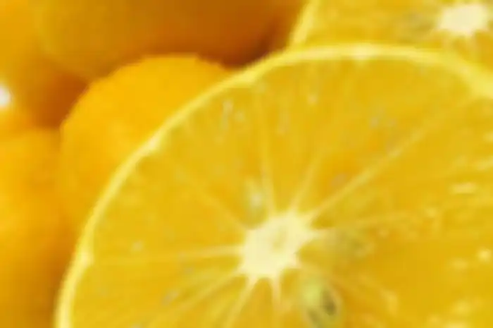 Jeruk Lemon Nan Menyehatkan